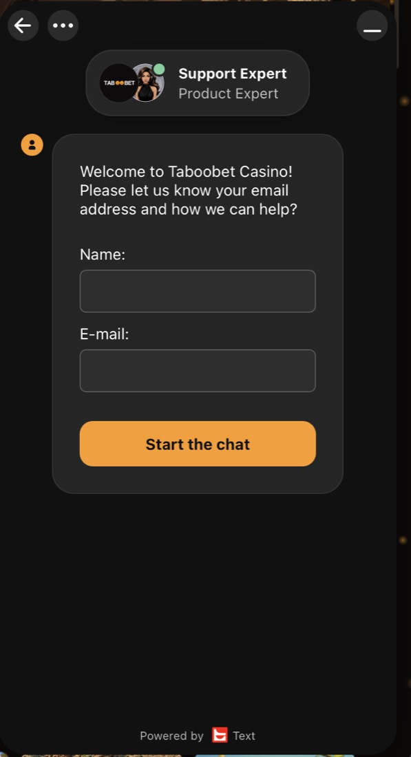 Support-Chat vor dem Gespräch